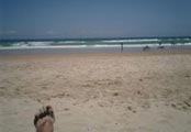  JOSE CORBACHO _ my left foot in the beach 