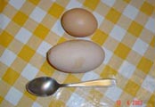  JAVIER CORONAS _ dos huevos y una cuchara 